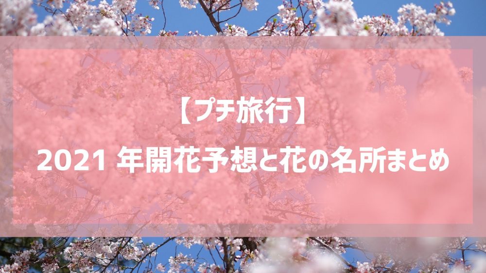 【プチ旅行】2021年開花予想と花の名所まとめ